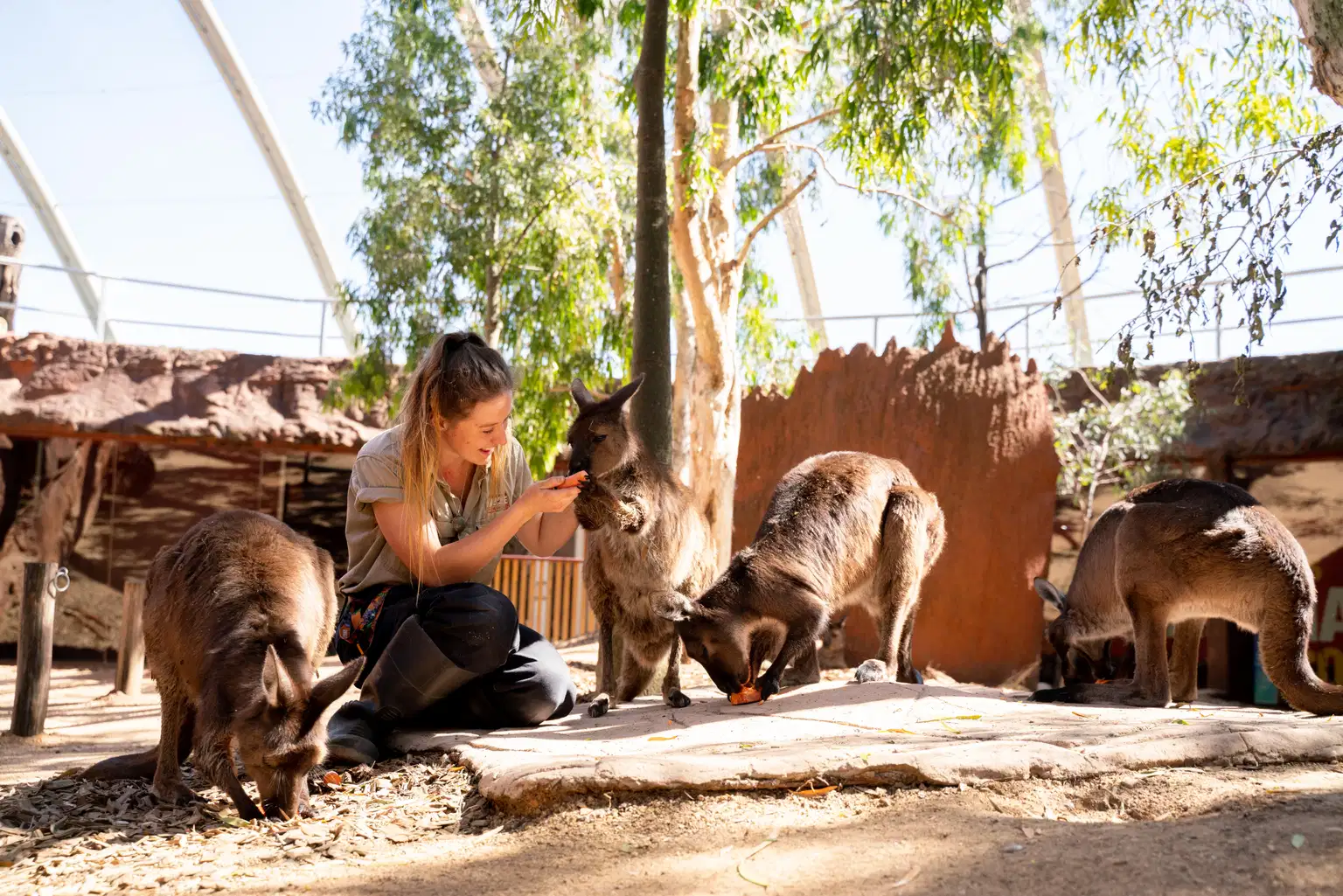 WILD LIFE Sydney Zoo Tickets