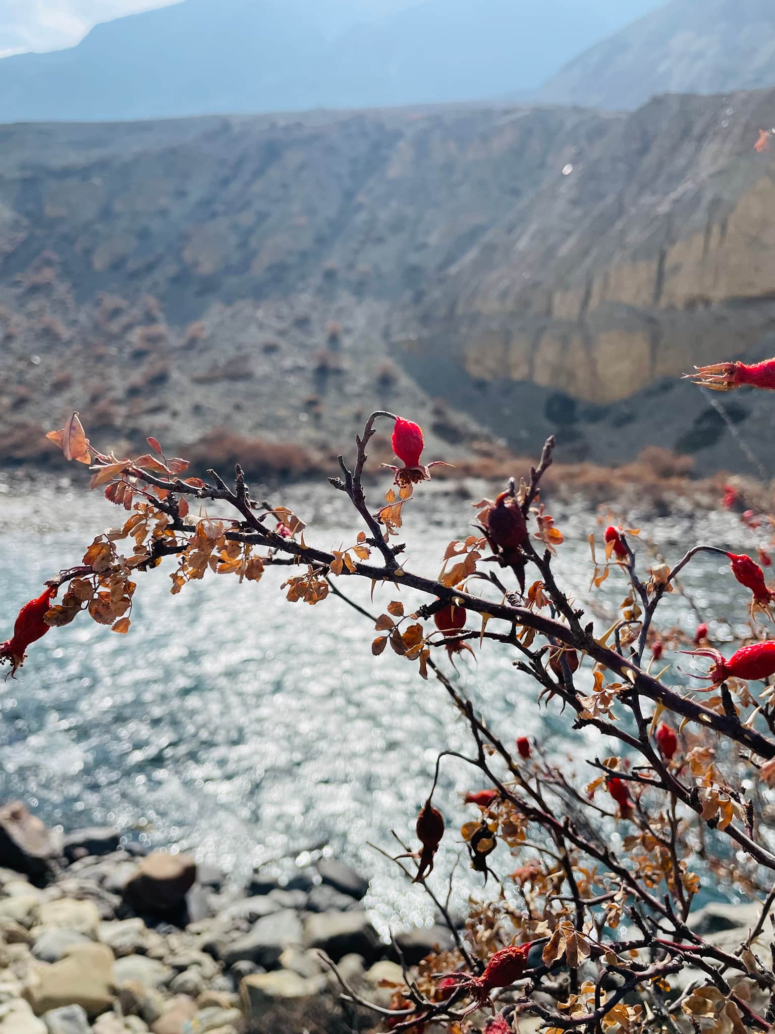 Photo from Yogesh Varma's trip