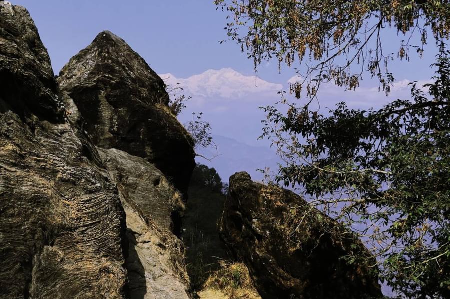 Darjeeling Half Day Sightseeing Tour Image