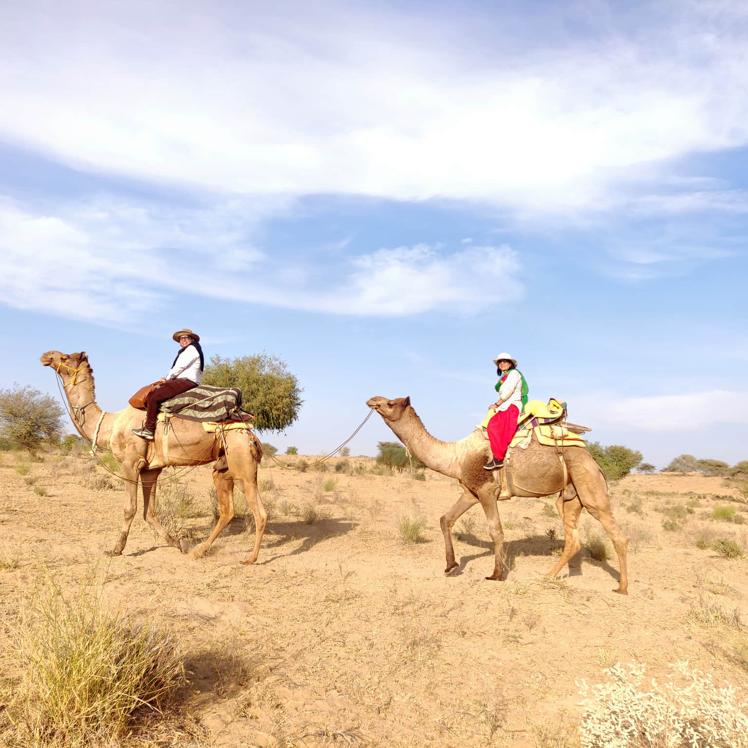 Photo from DR PROMOD KUMAR's trip