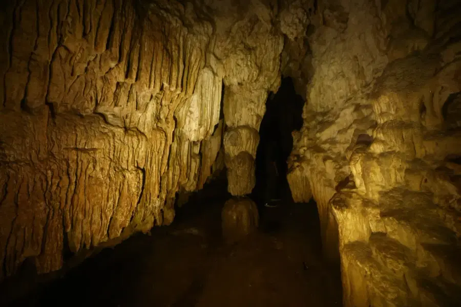 Day Trip to Limestone Caves at Baratang Island Image