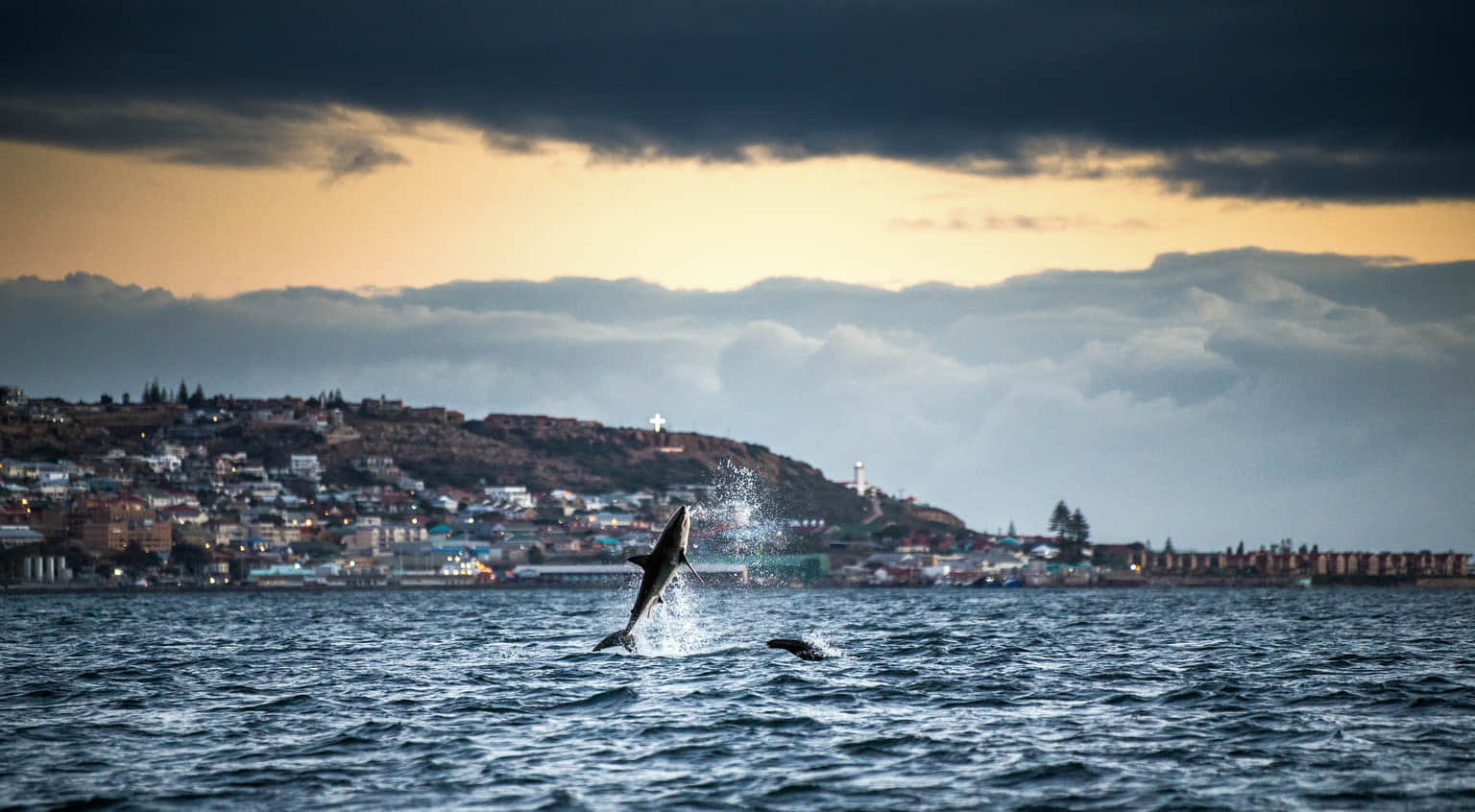 <em>South Africa</em> Tour Packages From Nashik