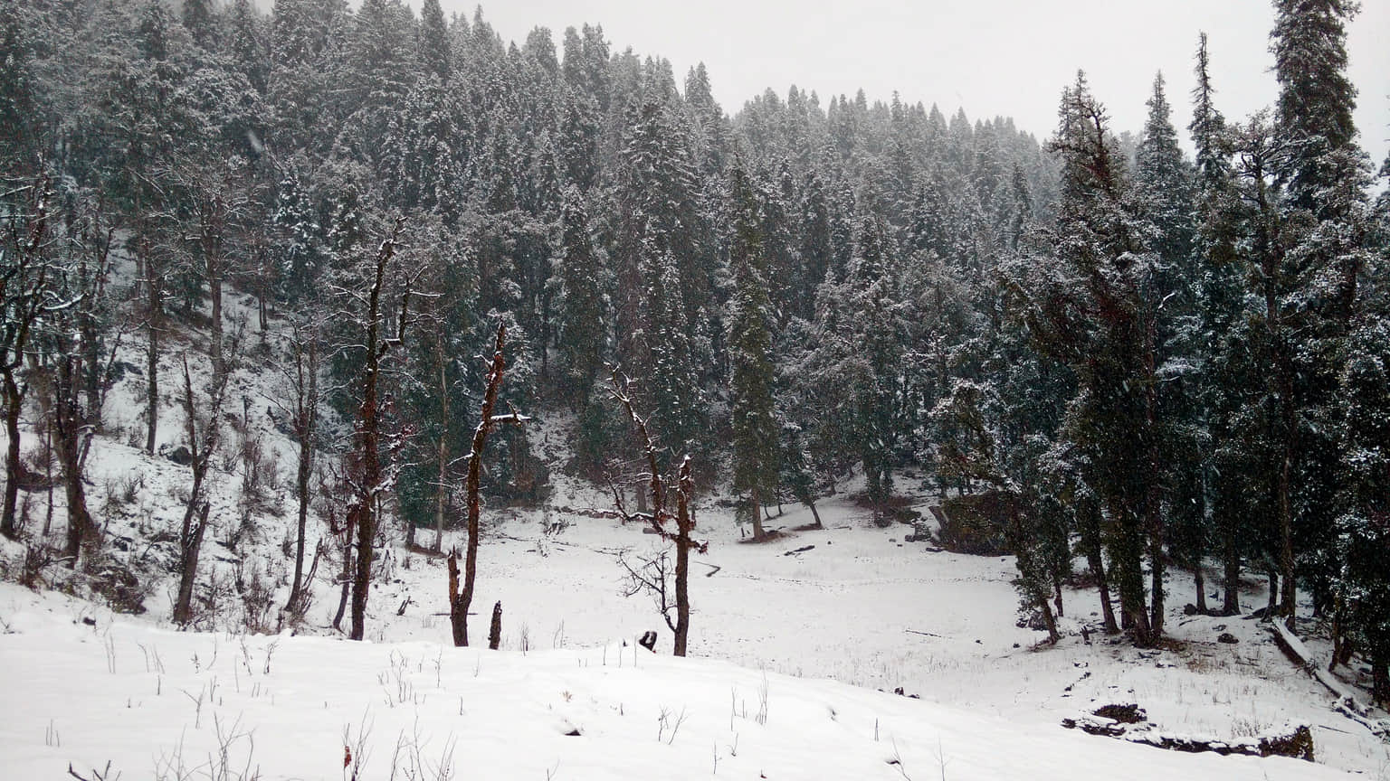 Photo from Meenakshi Varma's trip