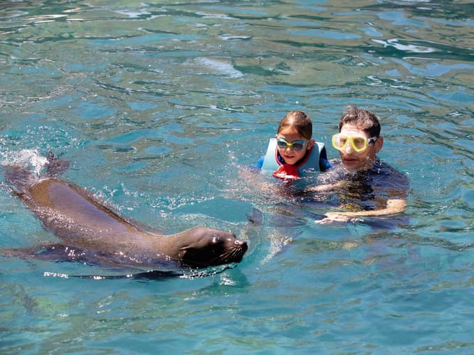 Enjoy with your family and play around with the seals. 