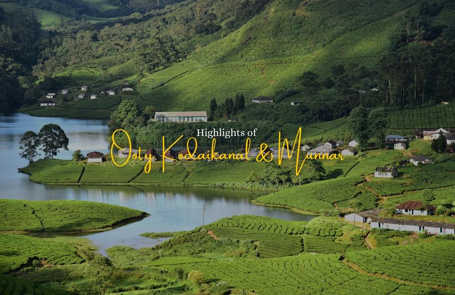 Ooty Kodaikanal Munnar Tour Package Image