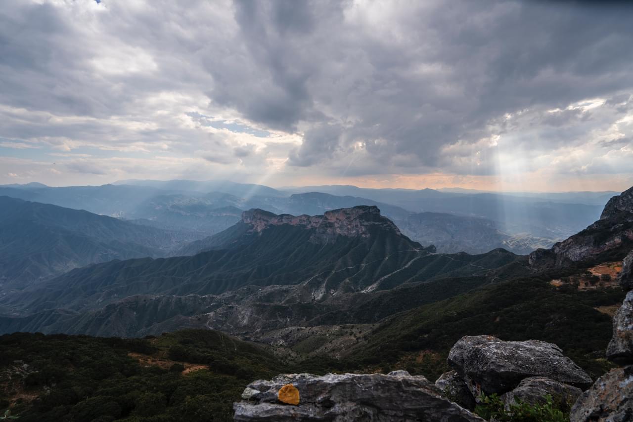 Things to Do in Mexico City 