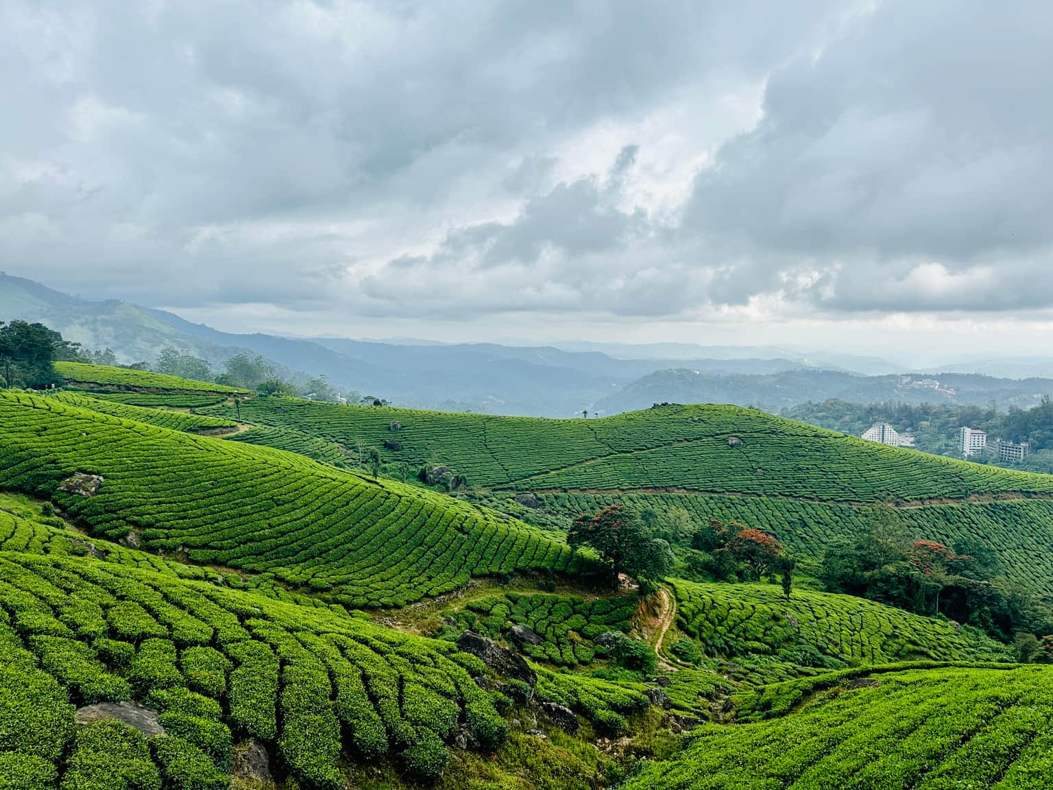 Photo from Shromona Sarkar's trip
