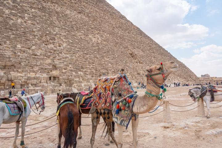 Pyramids of Giza Facts
