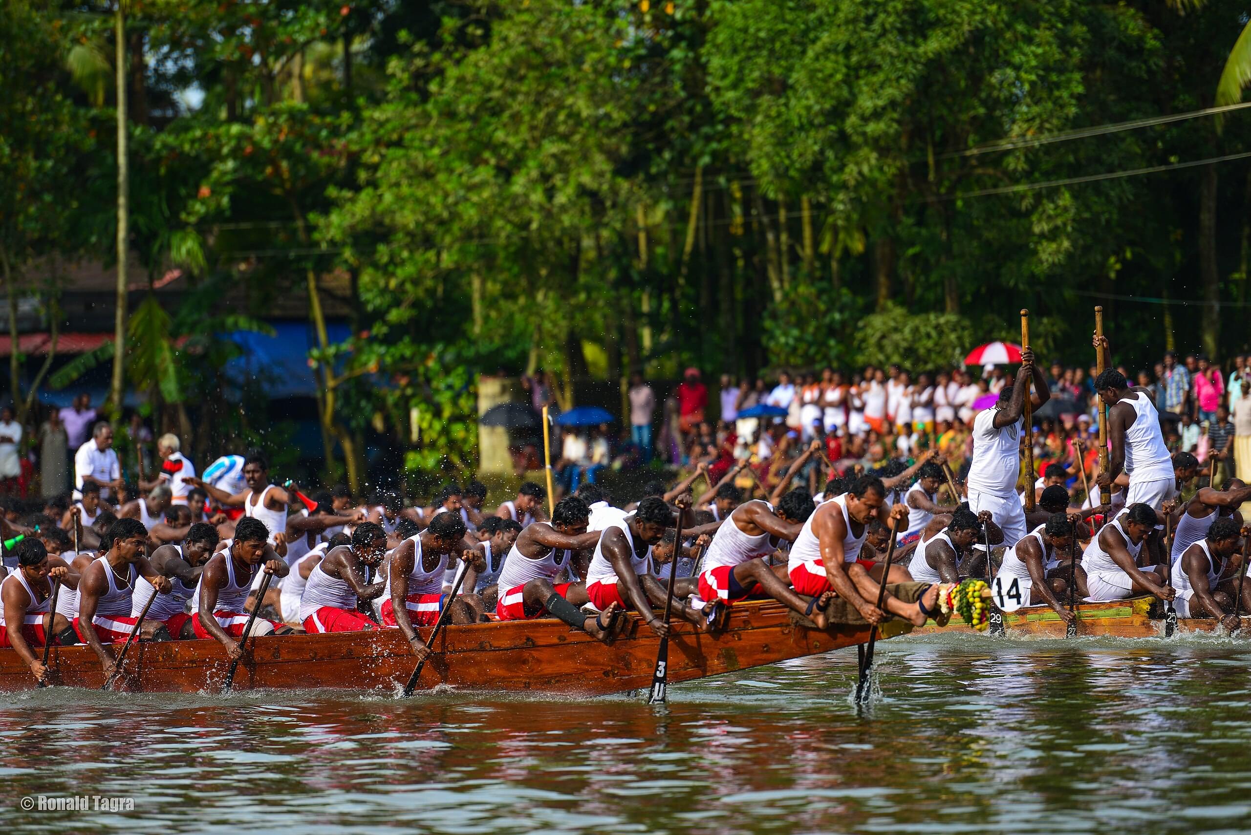 Witness famous boat races
