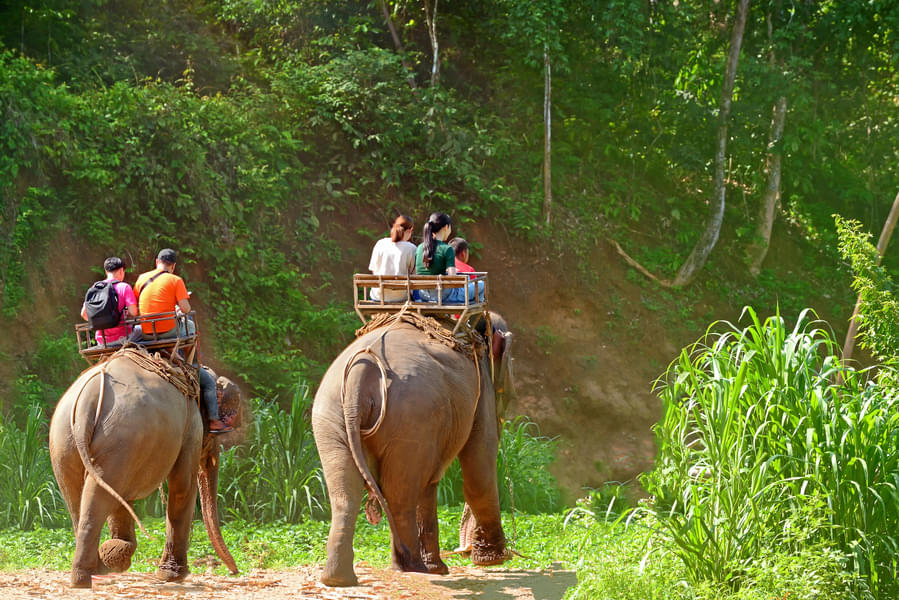 Elephant Safari Park Lodge Image