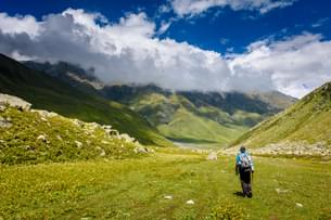 Trekker navigating the dense pine forests en route to Patalsu Peak