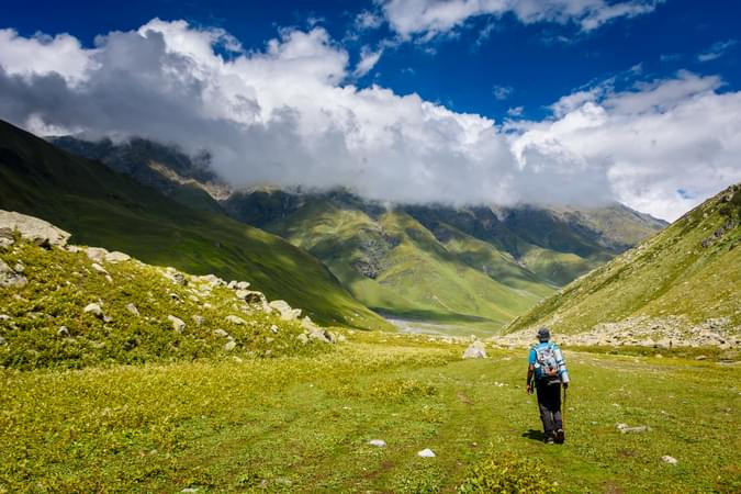 Trekker navigating the dense pine forests en route to Patalsu Peak