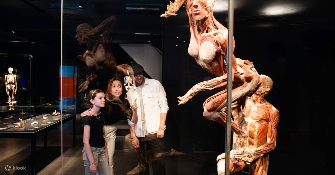 Body Worlds Amsterdam Tickets Image