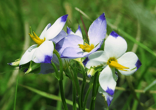 Witness the rich flora and fauna