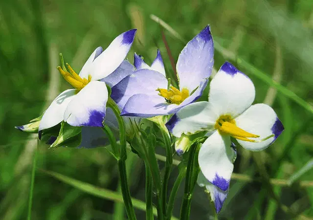 Witness the rich flora and fauna
