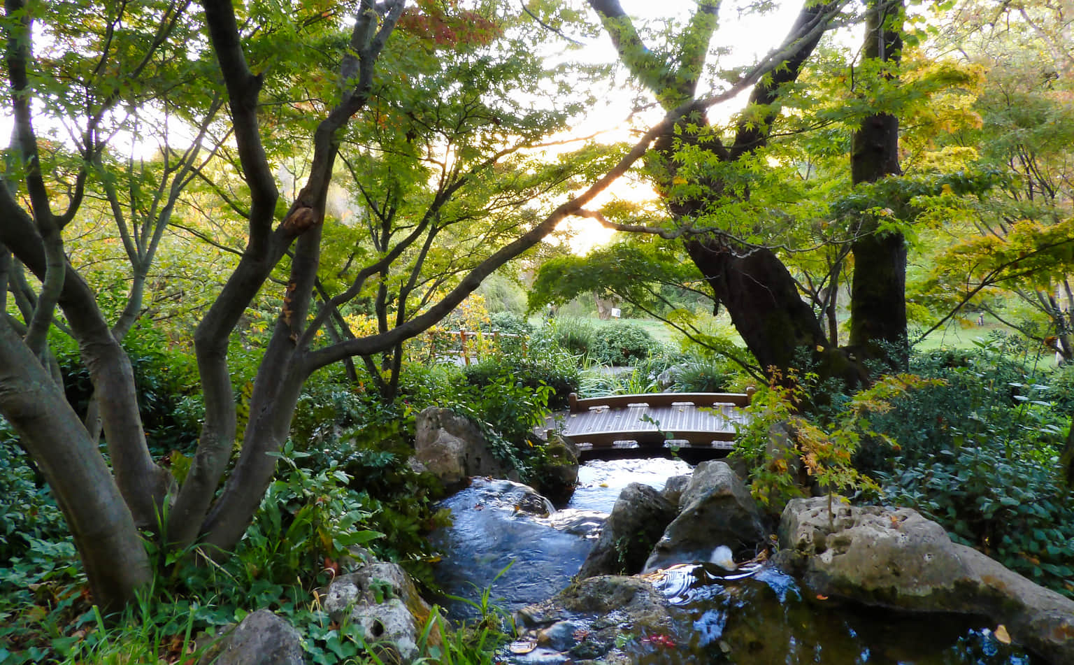 Orto Botanico
