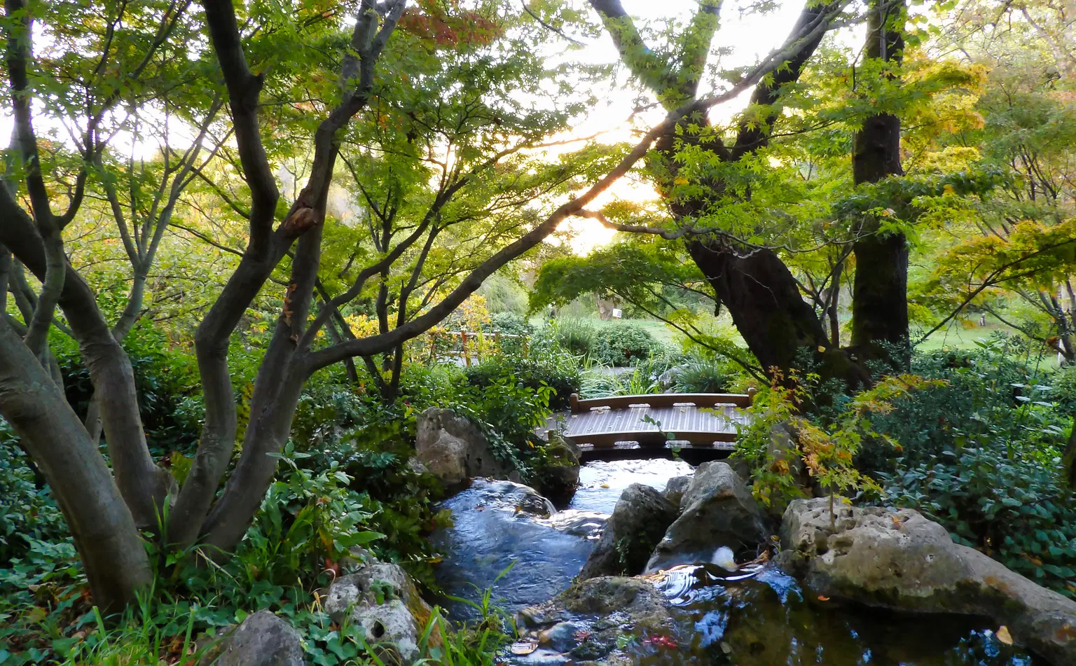 Orto Botanico