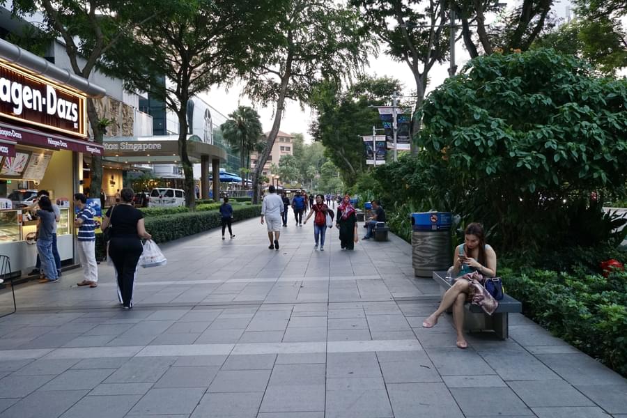 The Shopping Gallery at Hilton