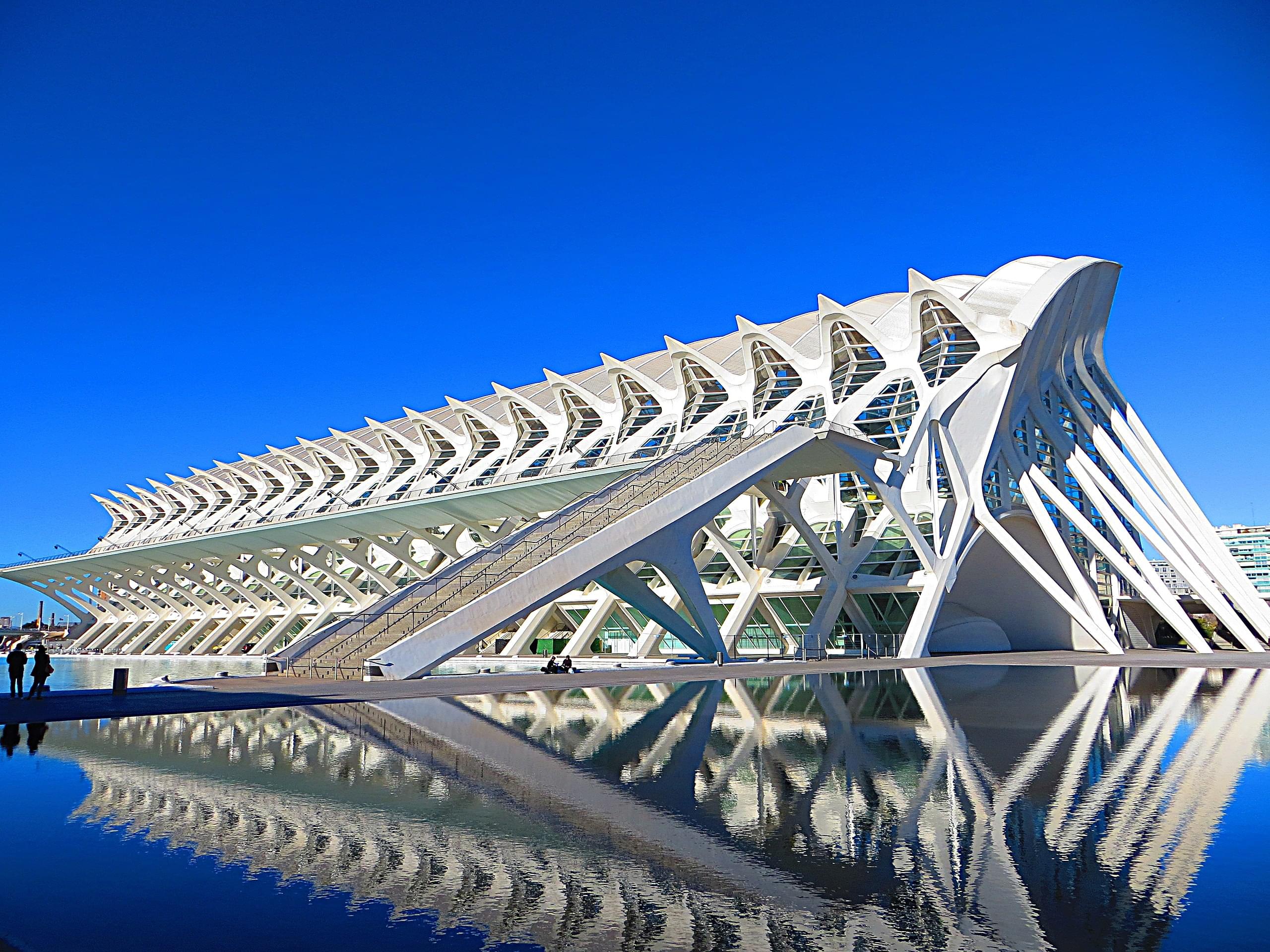 Get amazed by this whale skeleton shaped museum