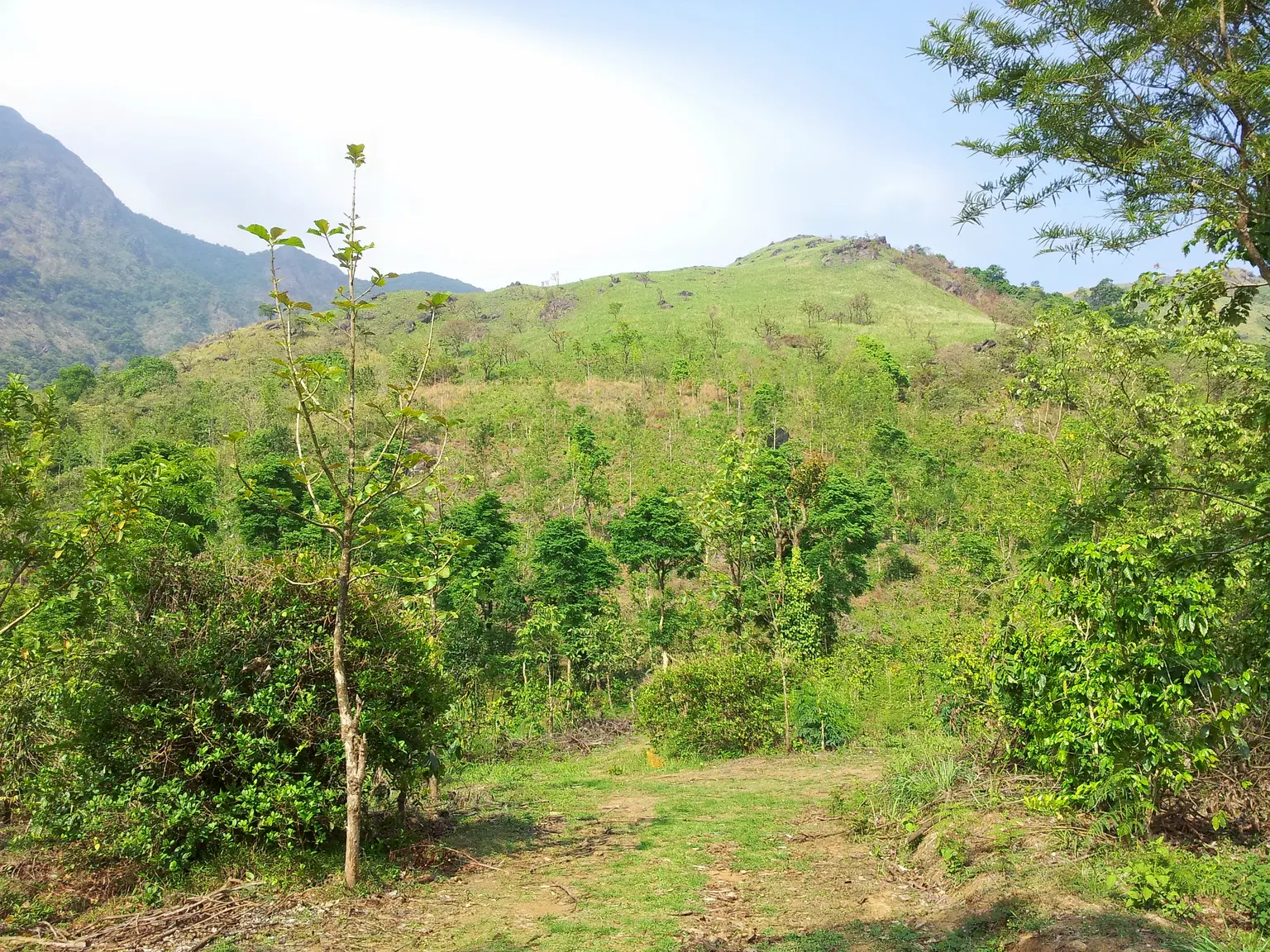 Photo from Vasudeva Marar's trip