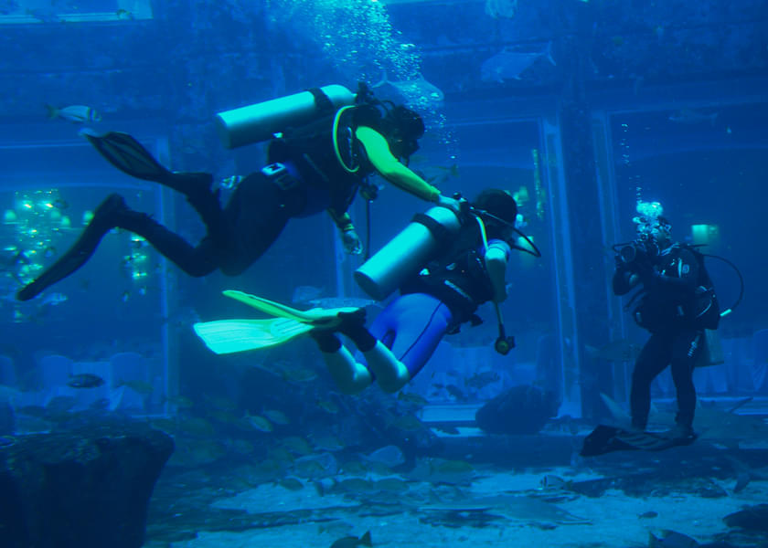 Atlantis Dubai Scuba Diving