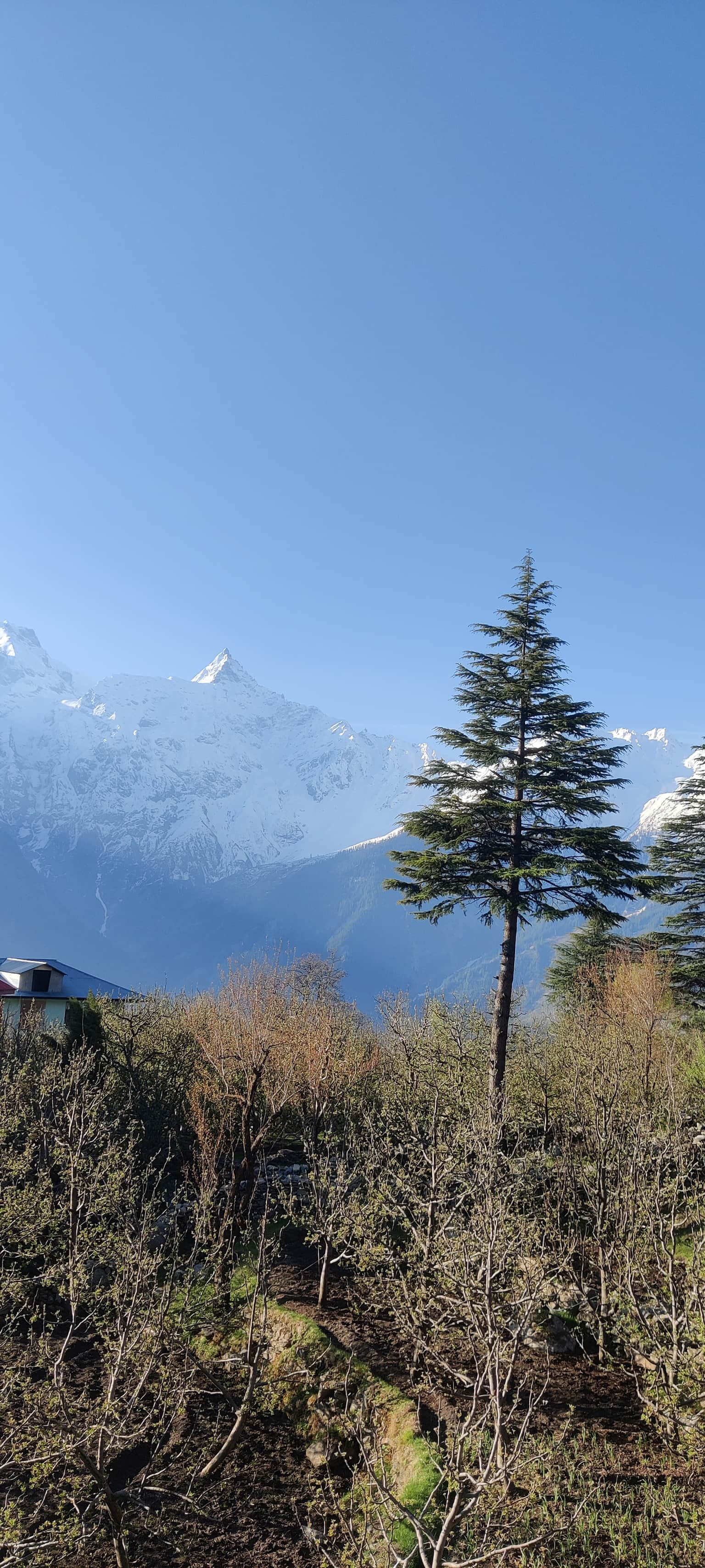 Photo from Chetan Chitre's trip