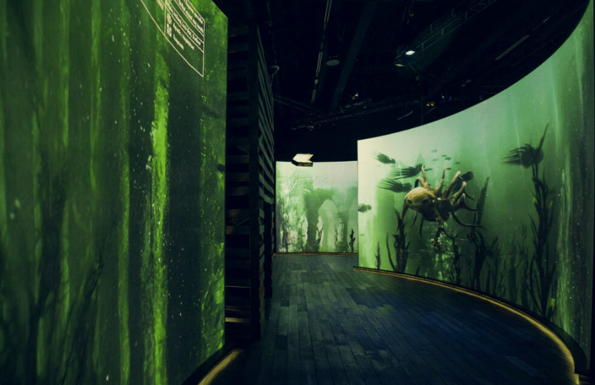 Explore famous Wizarding Locations