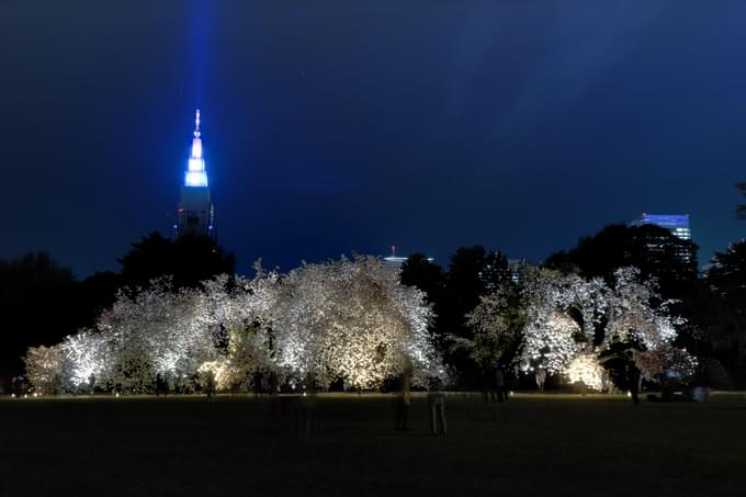 Shinjuku Gyoen National Garden