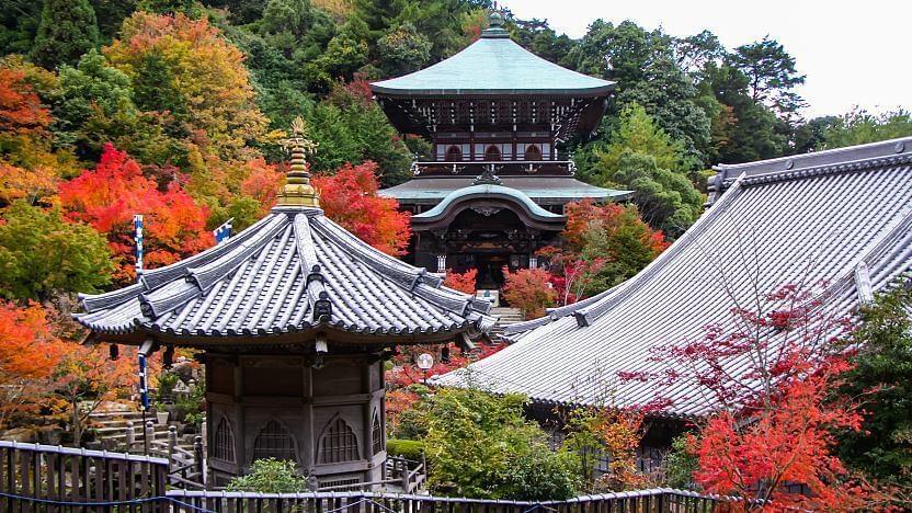 Visit the Daisho-In temple