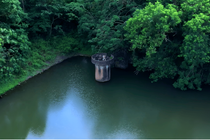 Go on a Kalikesam to Maramalai Trek for a scenic adventure