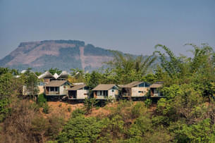 Aerial view of the homestay amidst dense forest