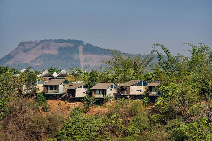 Aerial view of the homestay amidst dense forest