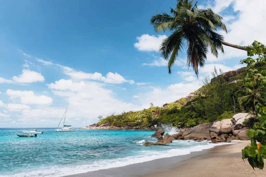 Anse Major Beach Overview