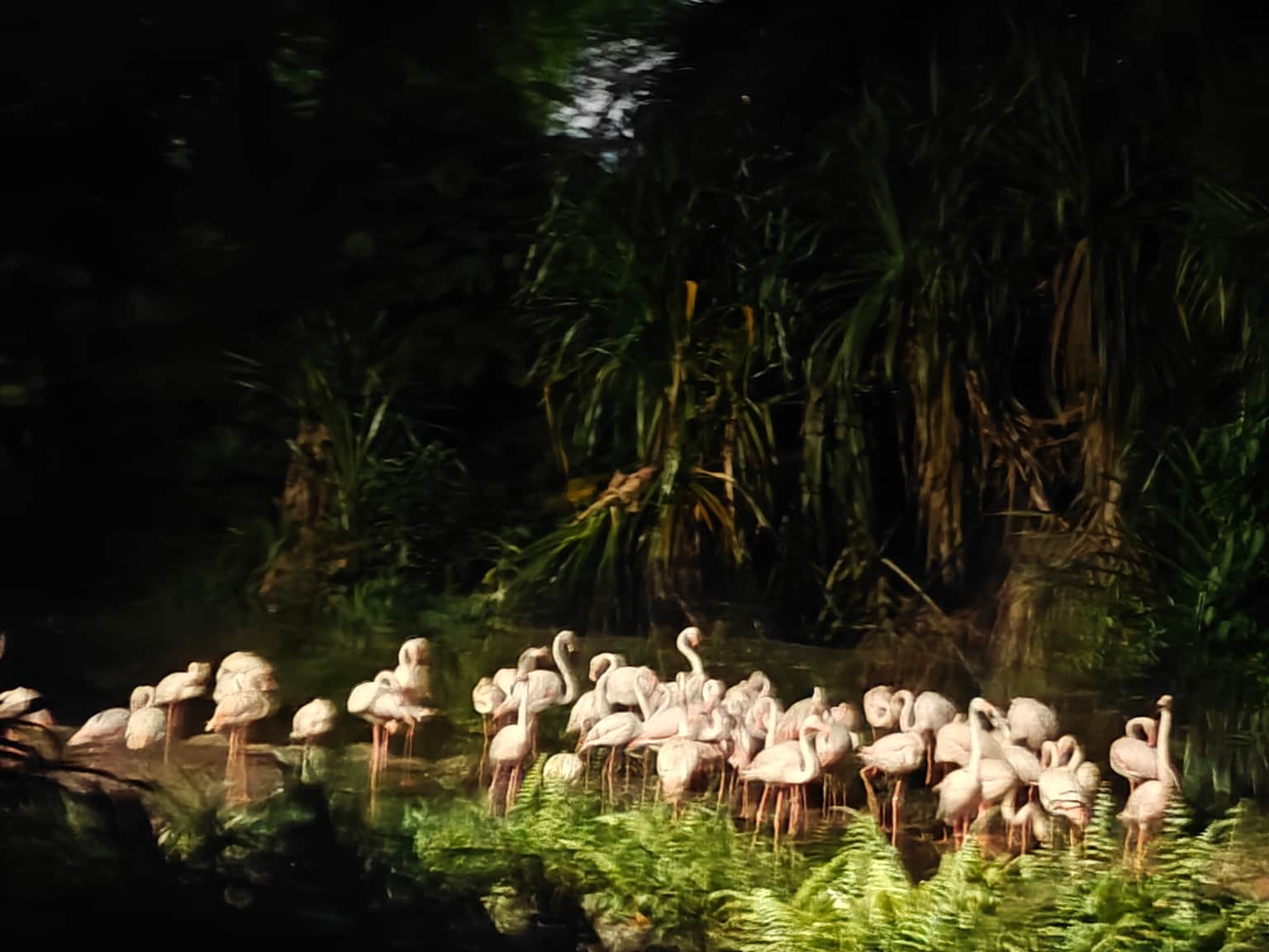 Photo from Vikram Sharma's trip