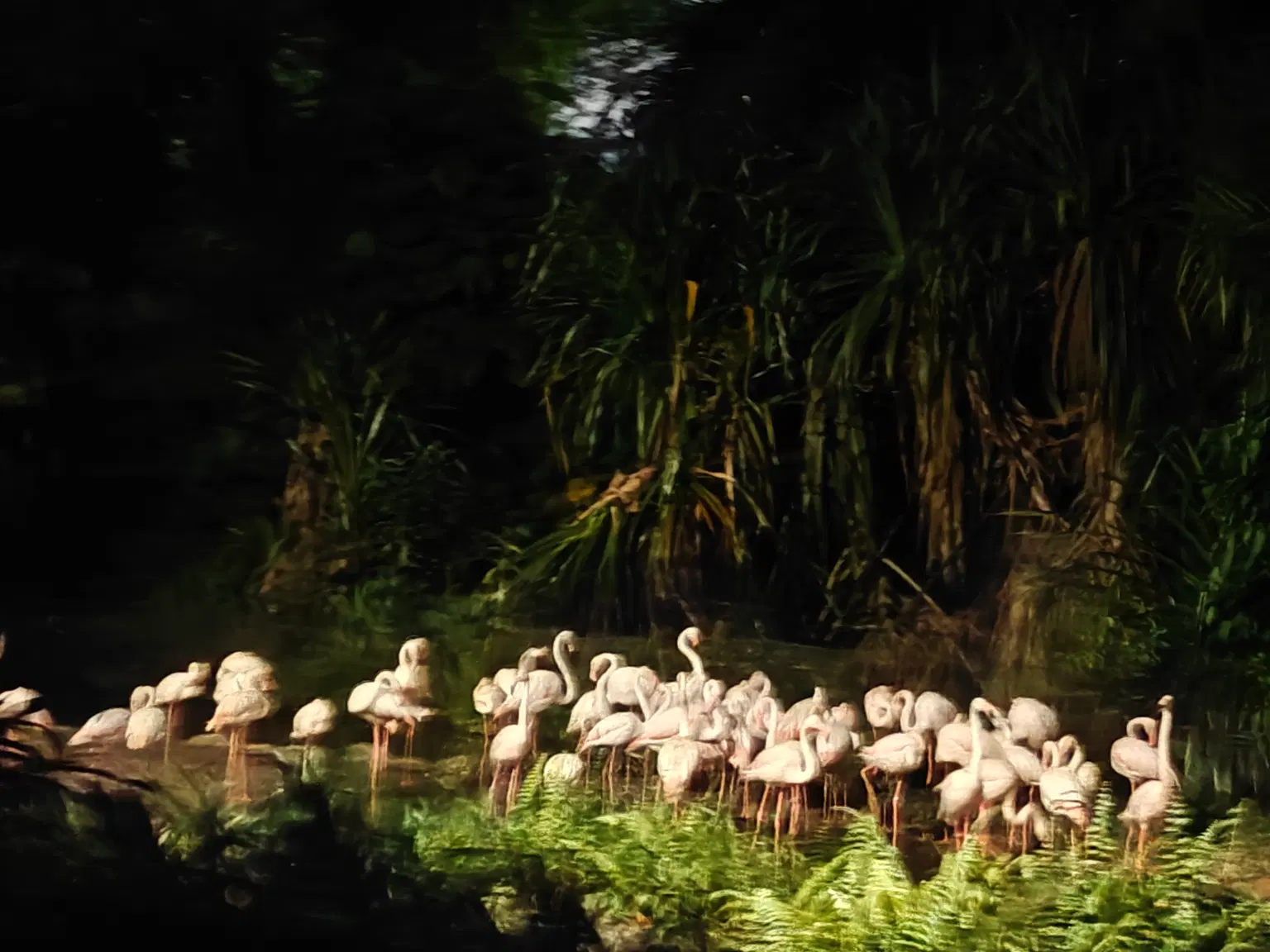 Photo from Vikram Sharma's trip