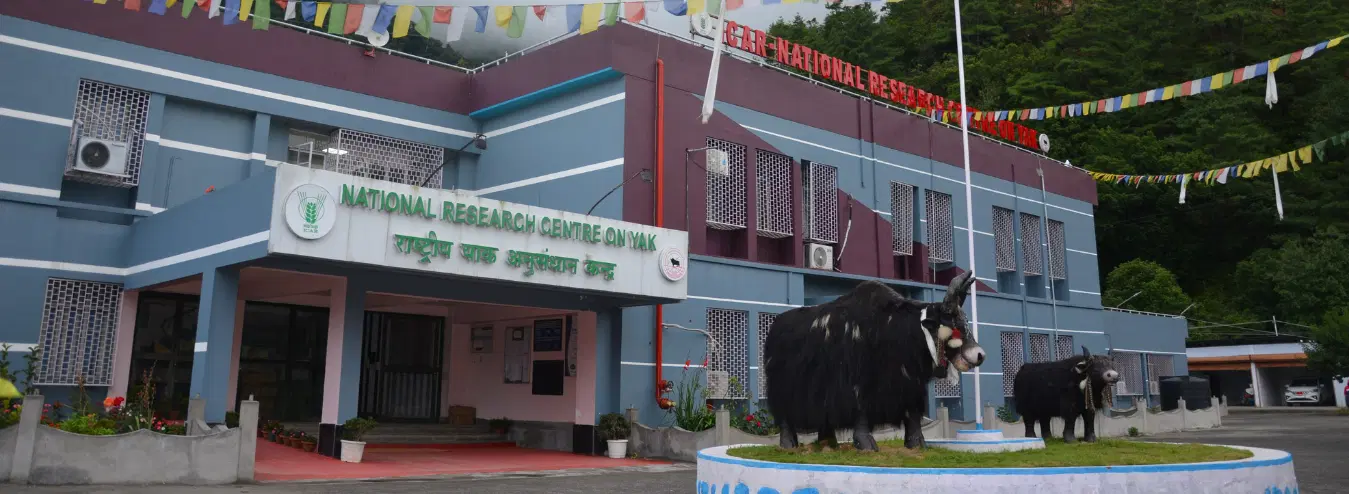 ICAR-National Research Centre on Yak