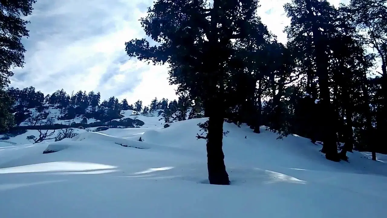 Photo from Ashlesh Varrier's trip