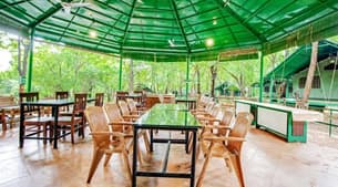 6ubk8wjb2vucwxd0z1pzbkbck6hs sakkrebailu elephant camp3 935x518 acf cropped