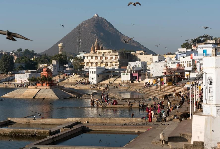 Day Trip From Jaipur to Pushkar​ Image