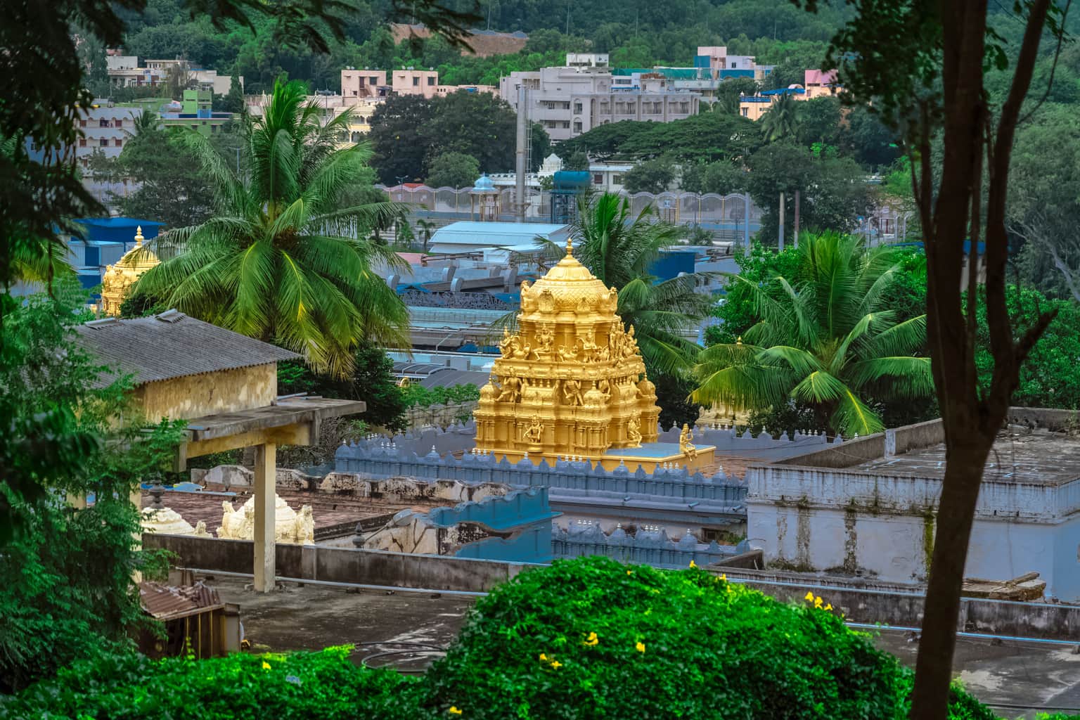 Car Rentals in Tirupati