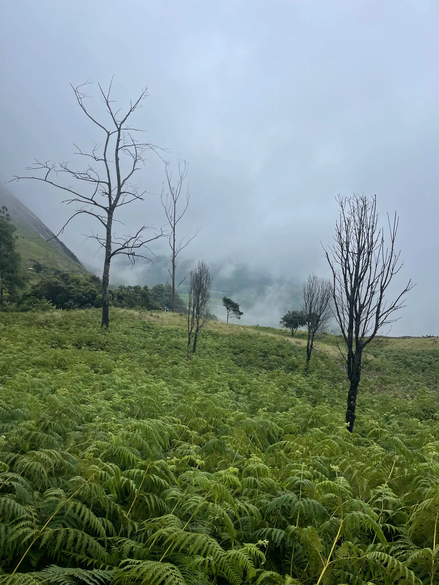Photo from Dnyanesh Chandewar's trip