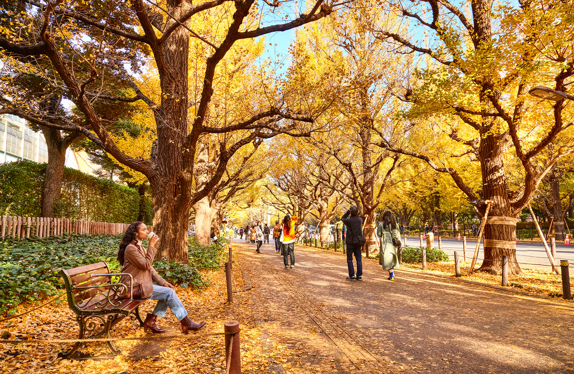 Japan’s Autumn & Winter Tour Packages