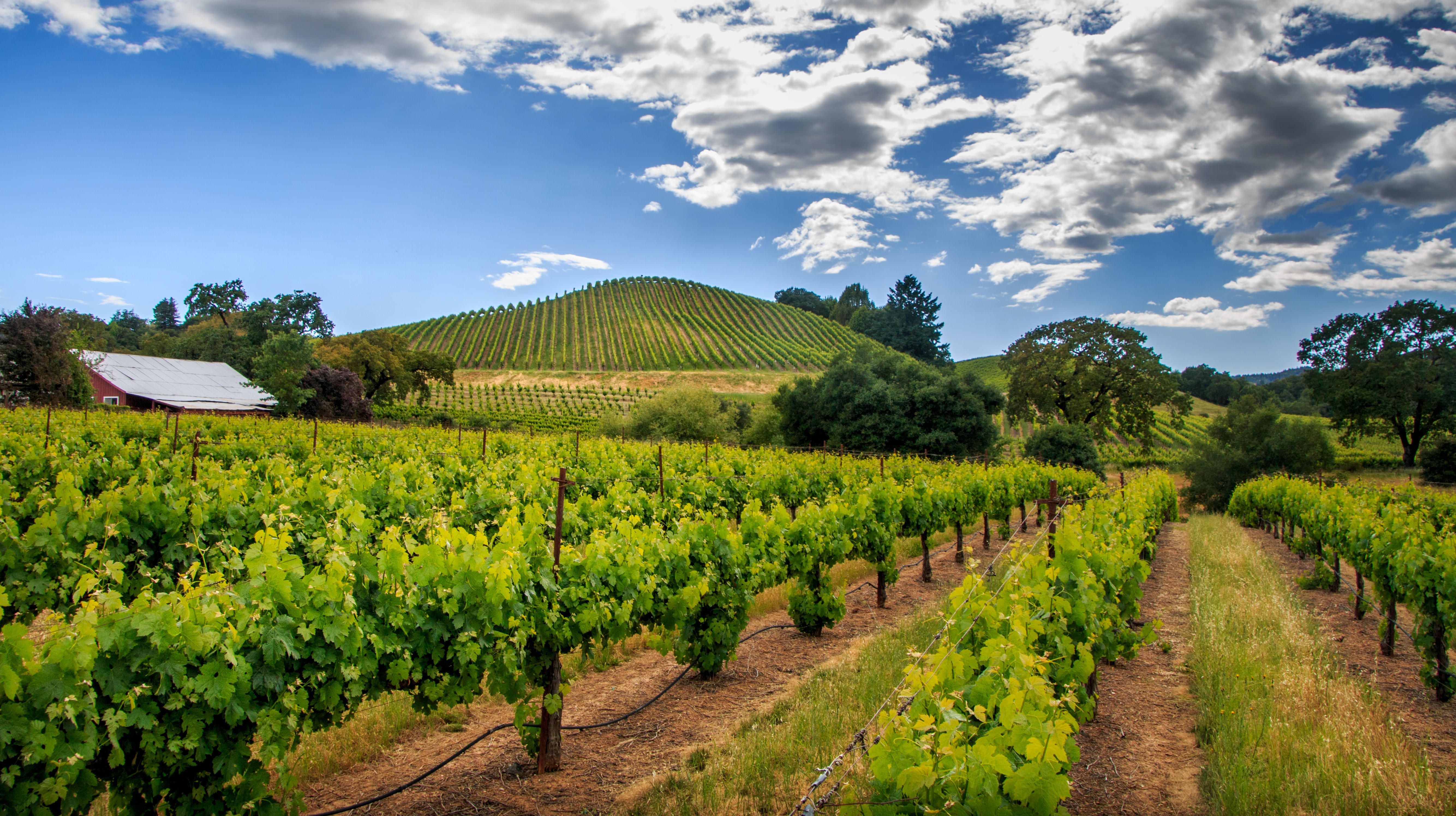 Sonoma Tour Packages | Upto 40% Off