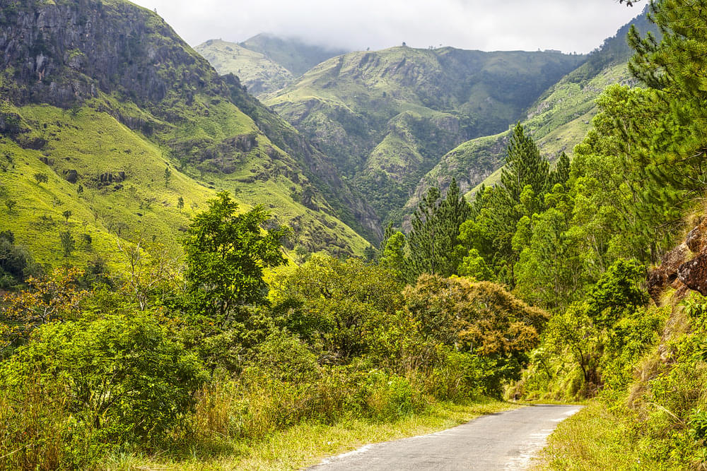 20 Places to Visit in Ella, Tourist Places & Top Attractions