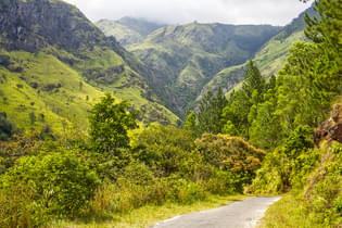 6viosxjqfestd3gqmwq6pdoq9ou7 1562143642 shutterstock 190154381