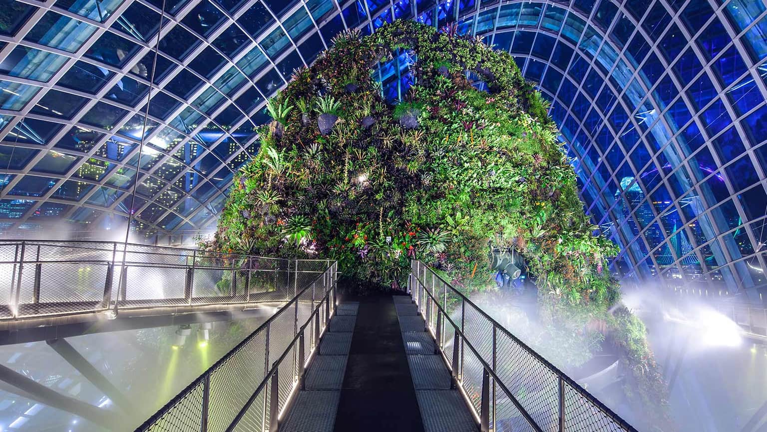 Take a stroll through Cloud Walk