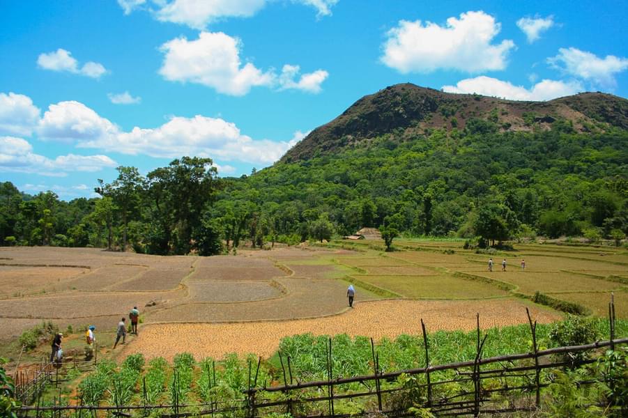 Kodachadri Trek Image