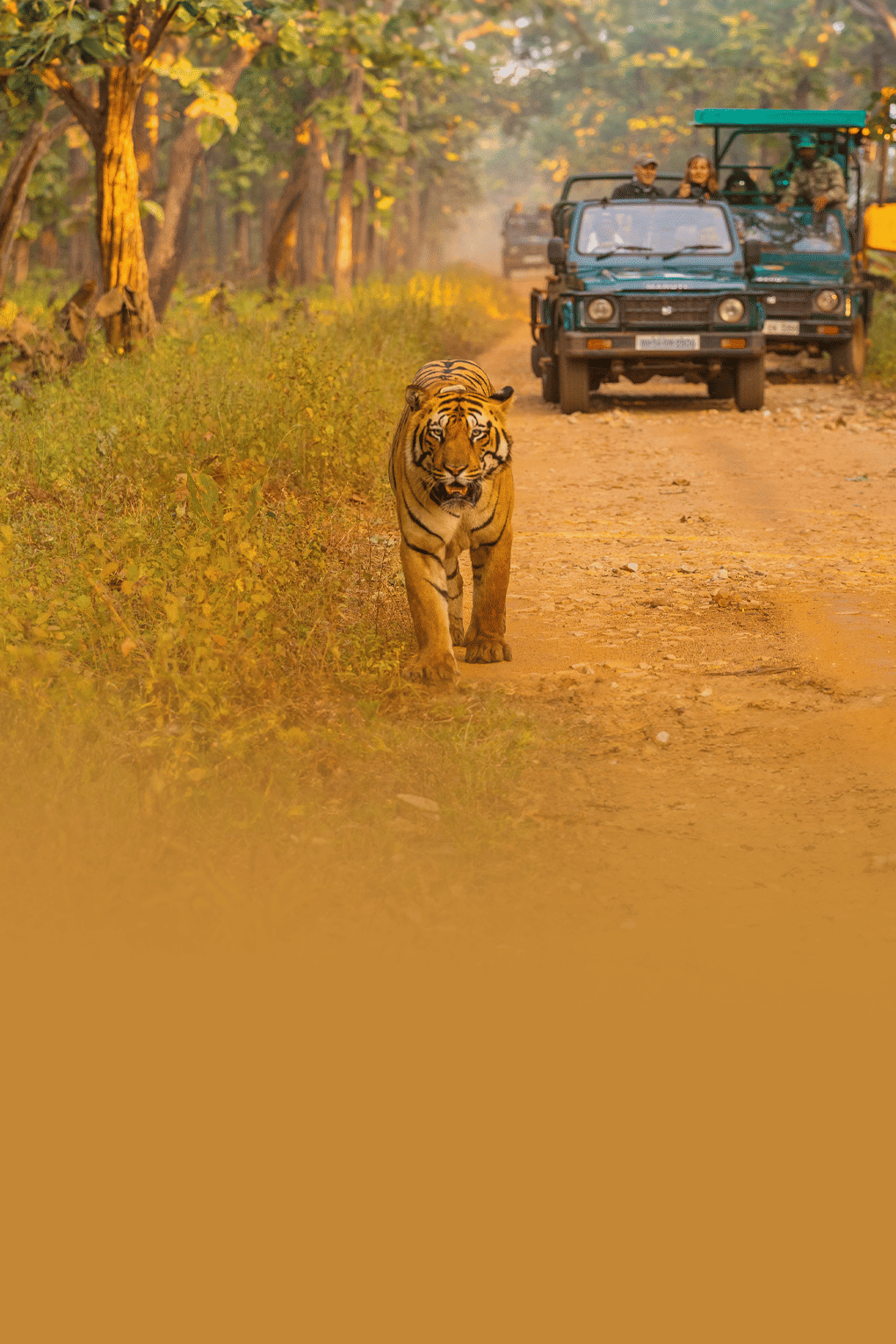 Haridwar Mussoorie Nainital Corbett | FREE Tiger Safari