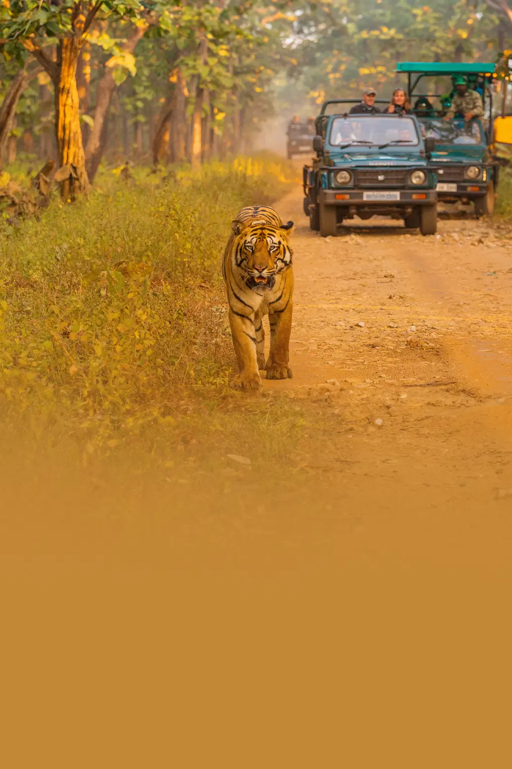 Haridwar Mussoorie Nainital Corbett | FREE Tiger Safari