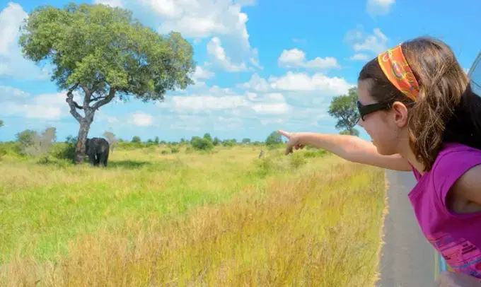 Luxury Kruger National Park Safari.jpg